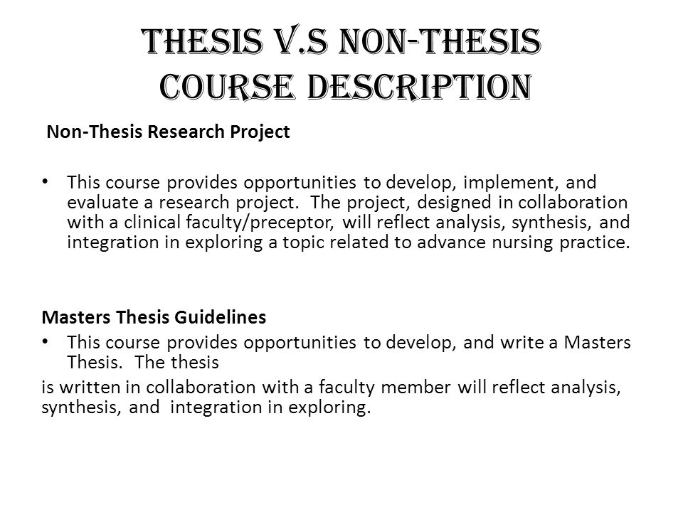 master thesis project description business